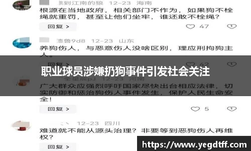 职业球员涉嫌扔狗事件引发社会关注